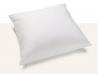 Comfort Plume